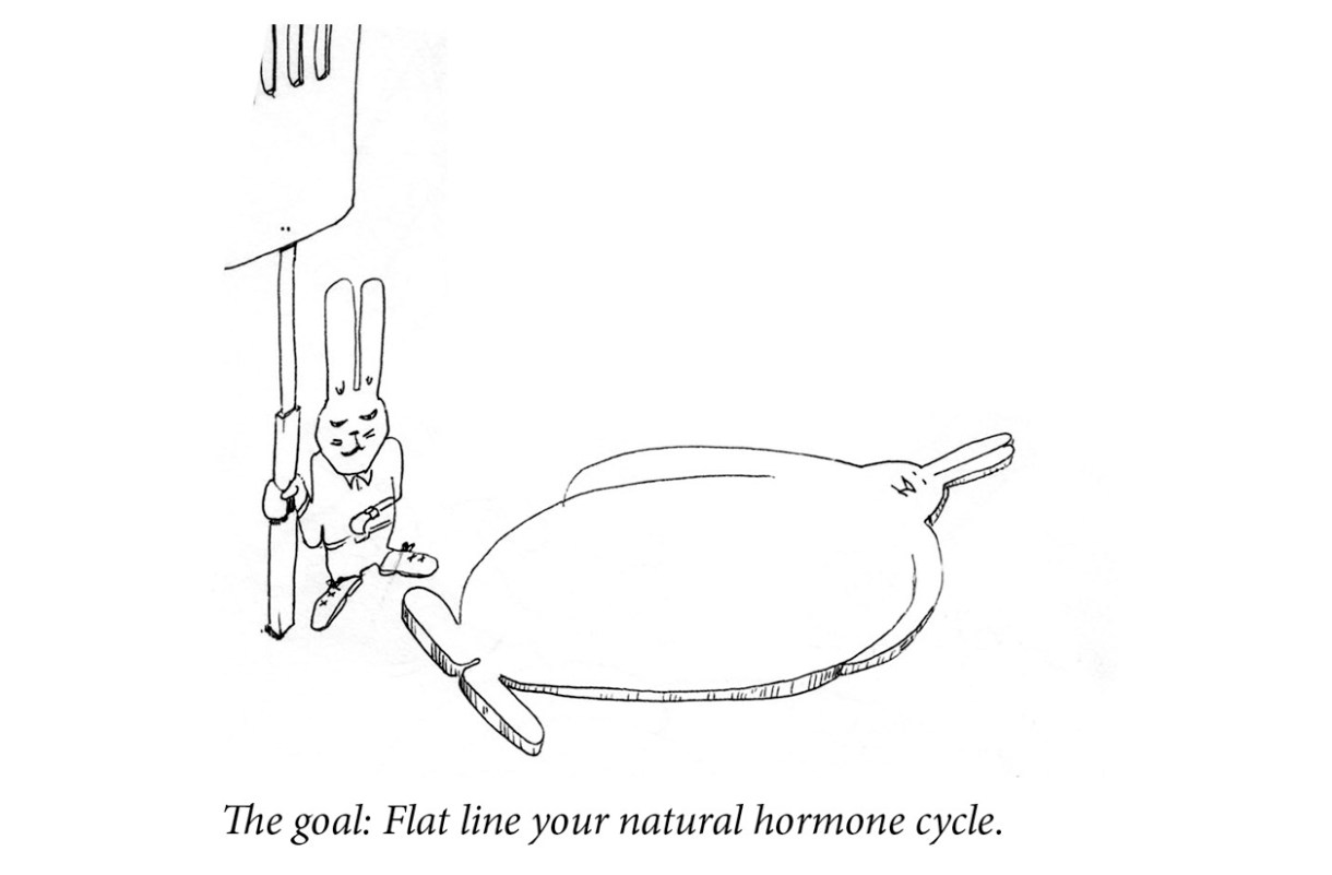 Image description: One rabbit eyes her watch. In her other hand she holds a giant towering spatula over a second rabbit that is a flat, round pancake. Caption: “The goal: Flat line your natural hormone cycle.