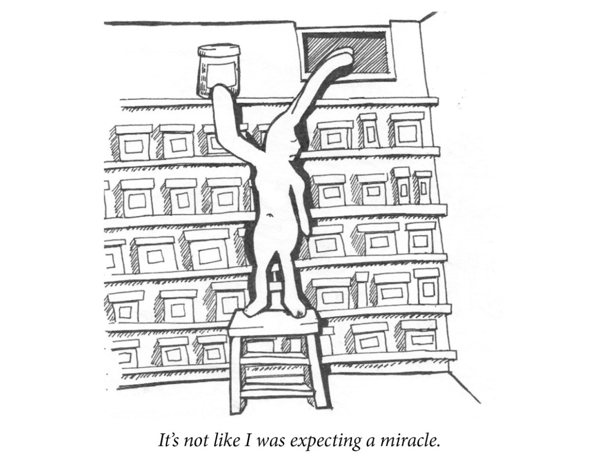 Image description: A sad rabbit places a jar on the top row of basement set of shelves. All the shelves are lined with similar jars. Caption: “It’s not like I was expecting a miracle.