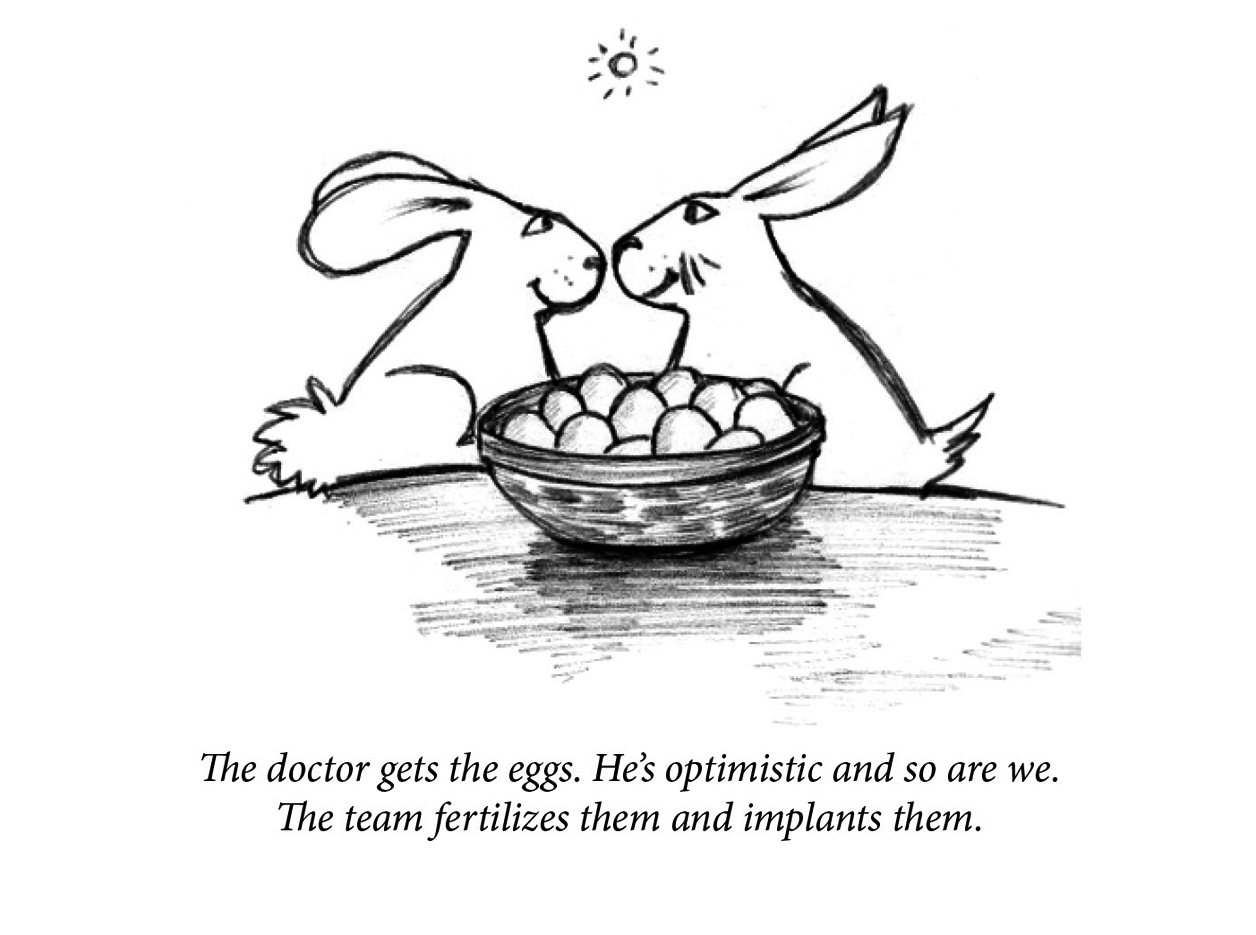 Image description: Two rabbits smile at each other, nose to nose. Centerred in the foreground is a basket of eggs. In the sky behind them, a small sun is shining. Caption: “The doctor gets the eggs. He’s optimistic and so are we. The team fertilizes them and implants them.