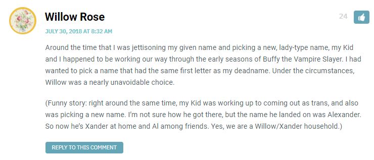 Around the time that I was jettisoning my given name and picking a new, lady-type name, my Kid and I happened to be working our way through the early seasons of Buffy the Vampire Slayer. I had wanted to pick a name that had the same first letter as my deadname. Under the circumstances, Willow was a nearly unavoidable choice. (Funny story: right around the same time, my Kid was working up to coming out as trans, and also was picking a new name. I’m not sure how he got there, but the name he landed on was Alexander. So now he’s Xander at home and Al among friends. Yes, we are a Willow/Xander household.)