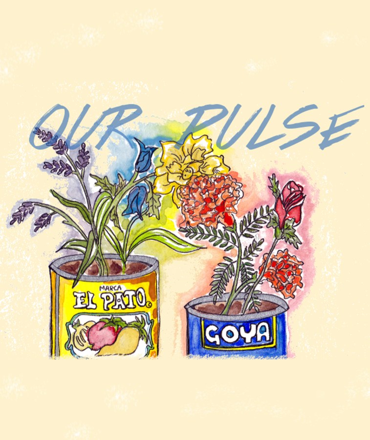 our pulse
