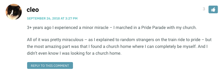 3+ years ago I experienced a minor miracle – I marched in a Pride Parade with my church. All of it was pretty miraculous – as I explained to random strangers on the train ride to pride – but the most amazing part was that I found a church home where I can completely be myself. And I didn’t even know I was looking for a church home.