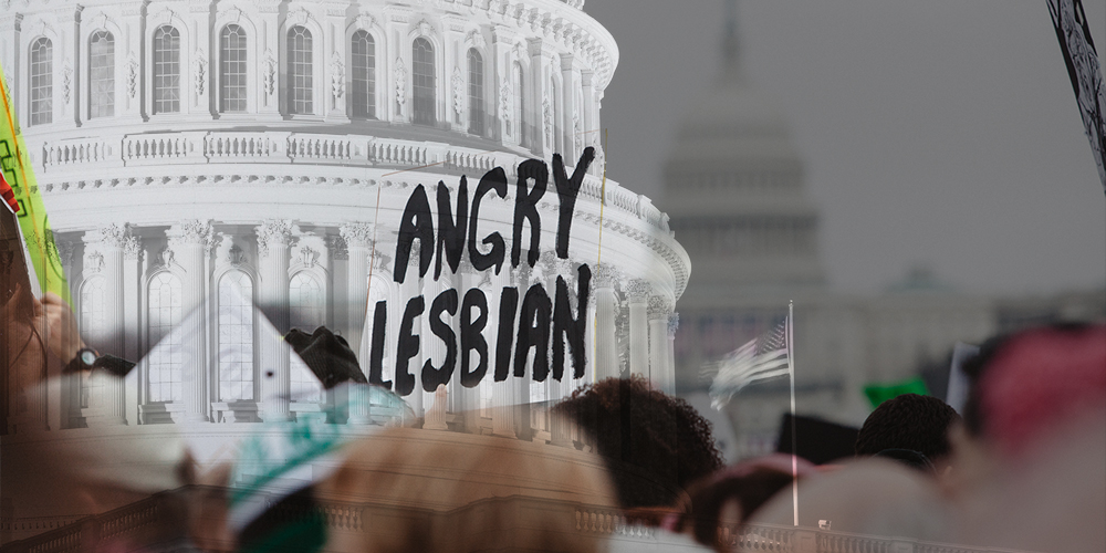 A protest sign reads "Angry Lesbian" in black lettering in front of a graphic design rendering of Congress. Here's a guide for 2020 Voter Registration.