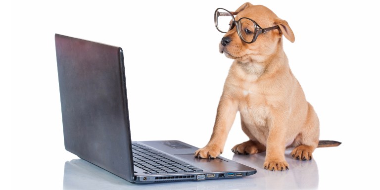 FRIDAY OPEN THREAD: If You Could Write A Letter To Who You Were 10 Years Ago, What Would You Say?