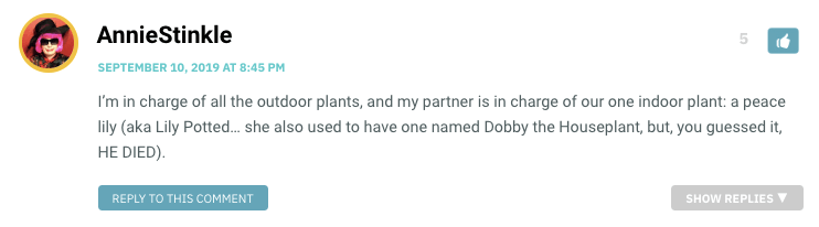 I’m in charge of all the outdoor plants, and my partner is in charge of our one indoor plant: a peace lily (aka Lily Potted… she also used to have one named Dobby the Houseplant, but, you guessed it, HE DIED).