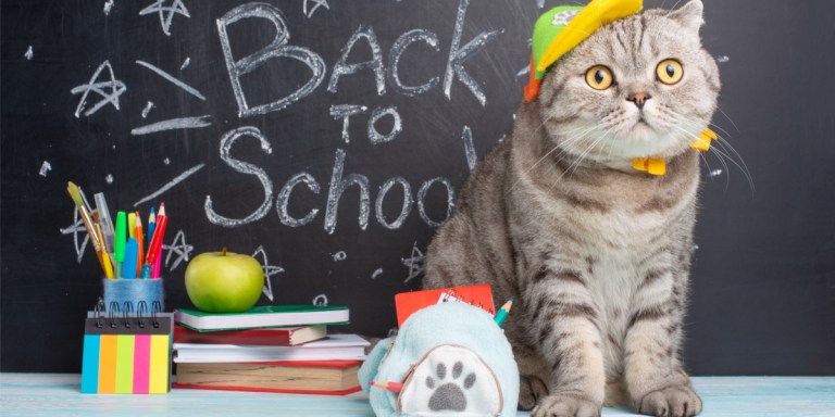 FRIDAY OPEN THREAD: What Are Your Back To School Impulse Buys?