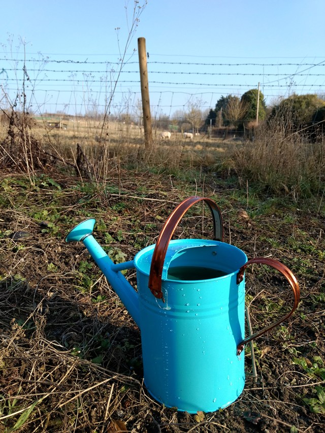 a watering can in an allotment