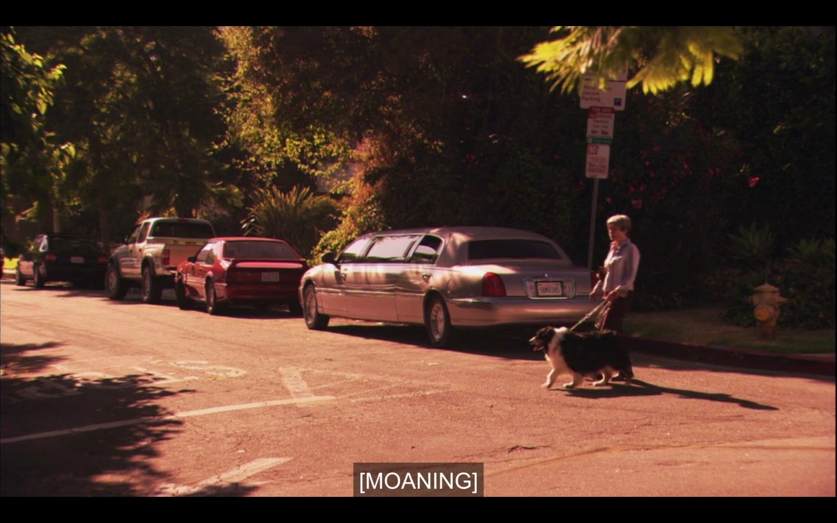 A person walks a dog as they cross the street. Subtitles say, "[Moaning]"