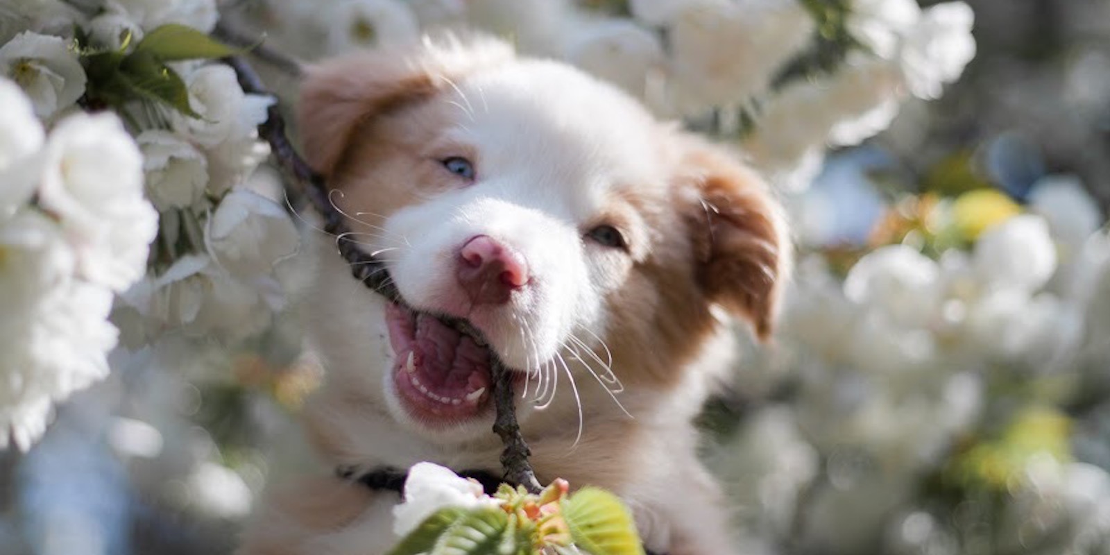 Friday Open Threads Are Back, Come On In & Say Hi