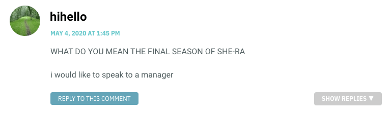 WHAT DO YOU MEAN THE FINAL SEASON OF SHE-RA i would like to speak to a manager