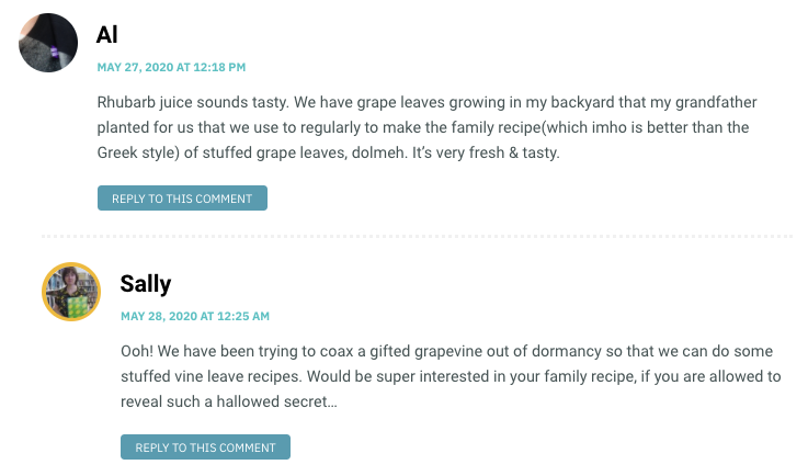 Rhubarb juice sounds tasty. We have grape leaves growing in my backyard that my grandfather planted for us that we use to regularly to make the family recipe(which imho is better than the Greek style) of stuffed grape leaves, dolmeh. It’s very fresh & tasty.