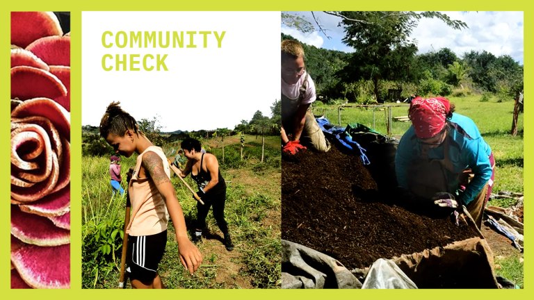 Using Seeds and Soil, Cuir Kitchen Brigade Helps People Feed Themselves and Their Neighbors Through the Coronavirus Pandemic