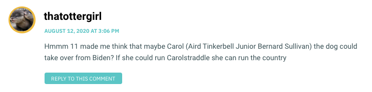 Hmmm 11 made me think that maybe Carol (Aird Tinkerbell Junior Bernard Sullivan) the dog could take over from Biden? If she could run Carolstraddle she can run the country