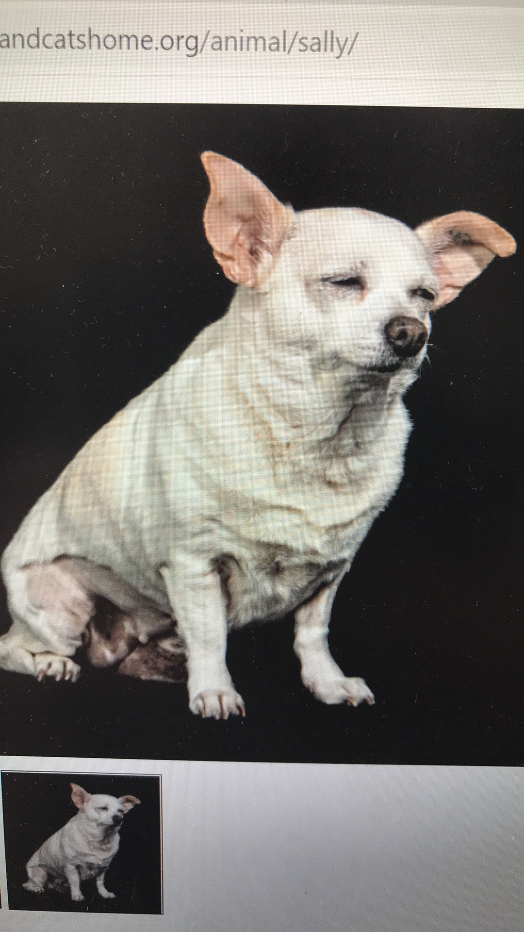 Profile picture of Indre McGlinn