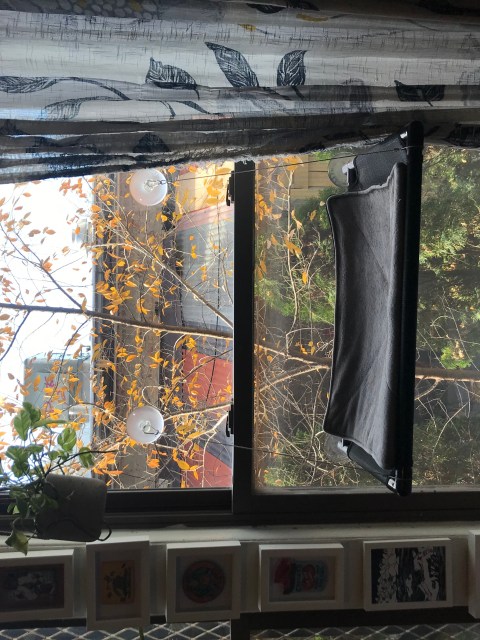 A photo through the author's apartment window looking out onto a rainy skyline of buildings.