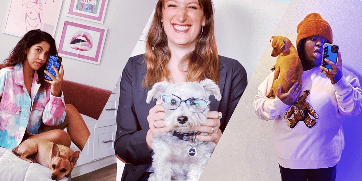 A collage of actress Stephanie Beatriz sitting on her bed with her dog, actress Jen Richards playing around with her dog (the dog is wearing glasses!), and the rapper/singer Chika with her dog taking a silly selfie against a blank wall.