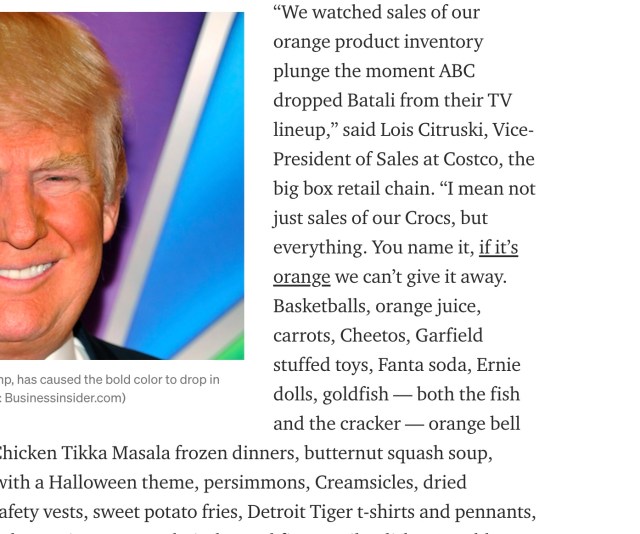 A cut out of an internet article featuring a very large image of Donald Trump's face