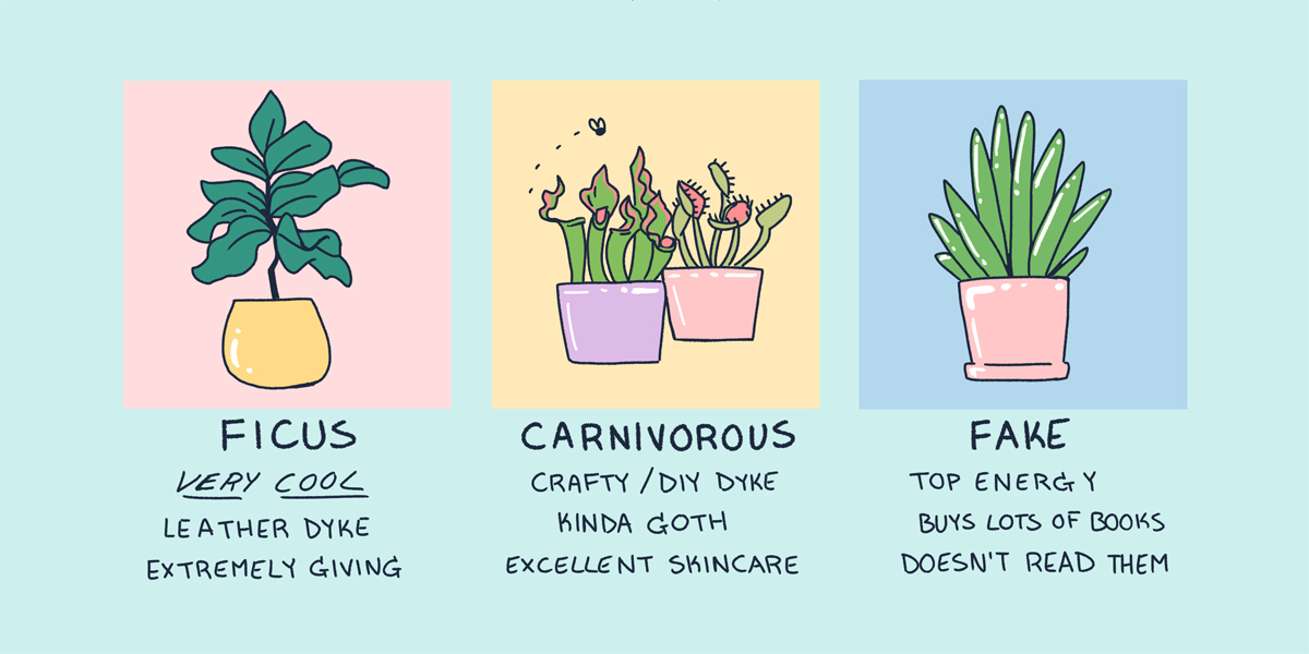 A hand drawn image of three plants in pastel colors. They are attached with the following descriptions: Ficus — very cool leather dyke, extremely giving. Carnivorous — crafty/DIY dyke, kinda goth, excellent skincare Fake — Top energy, buys lots of books, doesn’t read them.