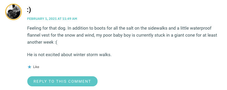 Feeling for that dog. In addition to boots for all the salt on the sidewalks and a little waterproof flannel vest for the snow and wind, my poor baby boy is currently stuck in a giant cone for at least another week :( He is not excited about winter storm walks.