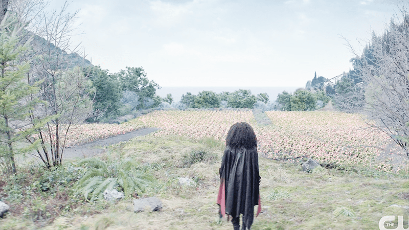 Batwoman looking at desert rose field