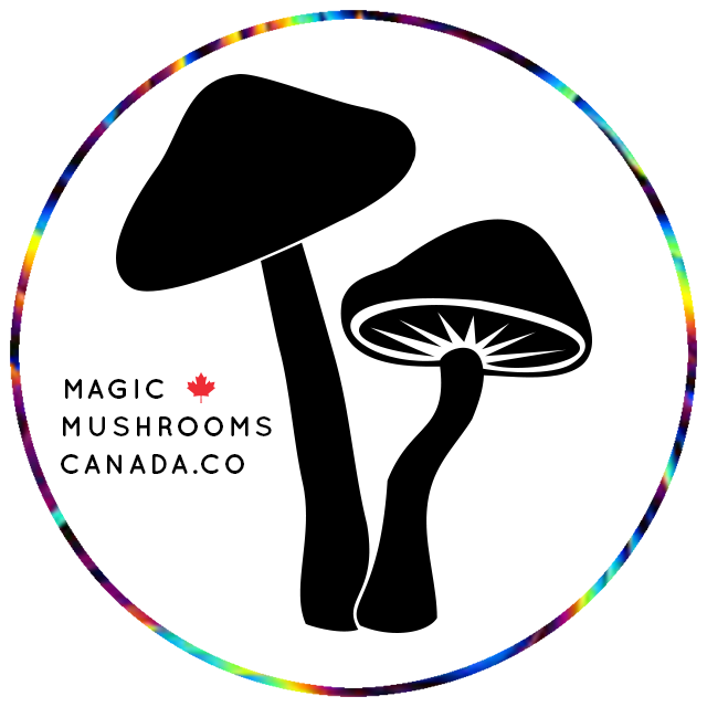 Profile picture of Magic Mushrooms Canada