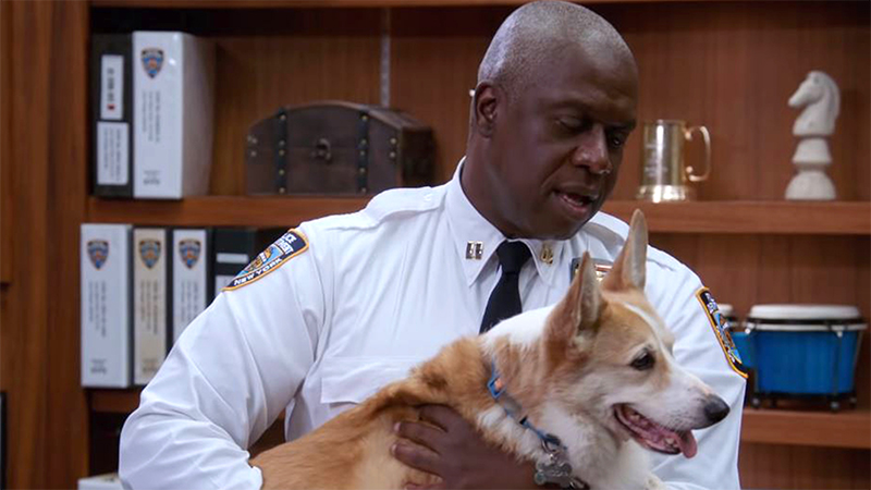 Captain Holt holds Cheddar in his arms