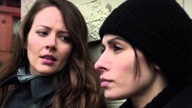 Root and Shaw, Person of Interest