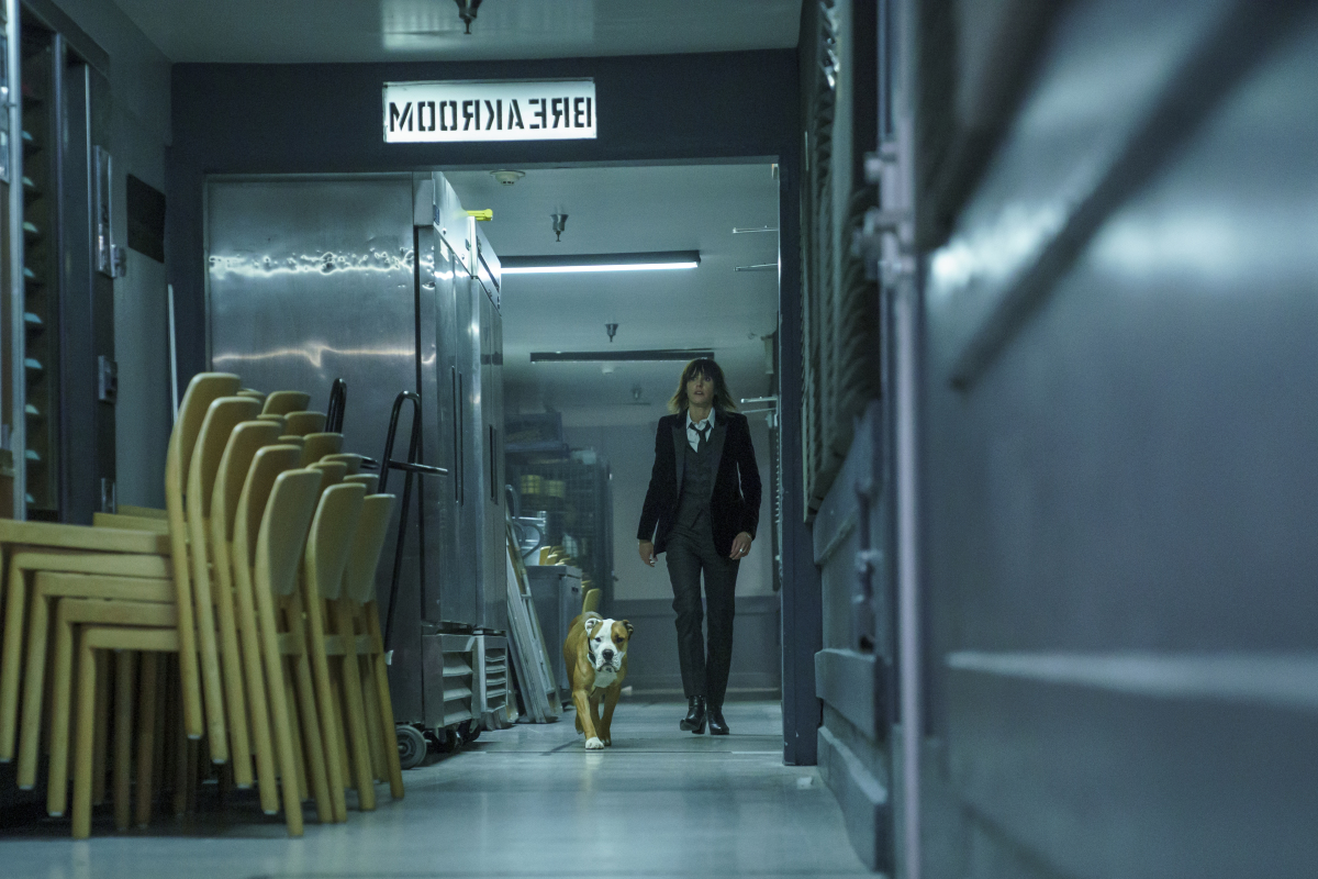 201 - Late to the Party