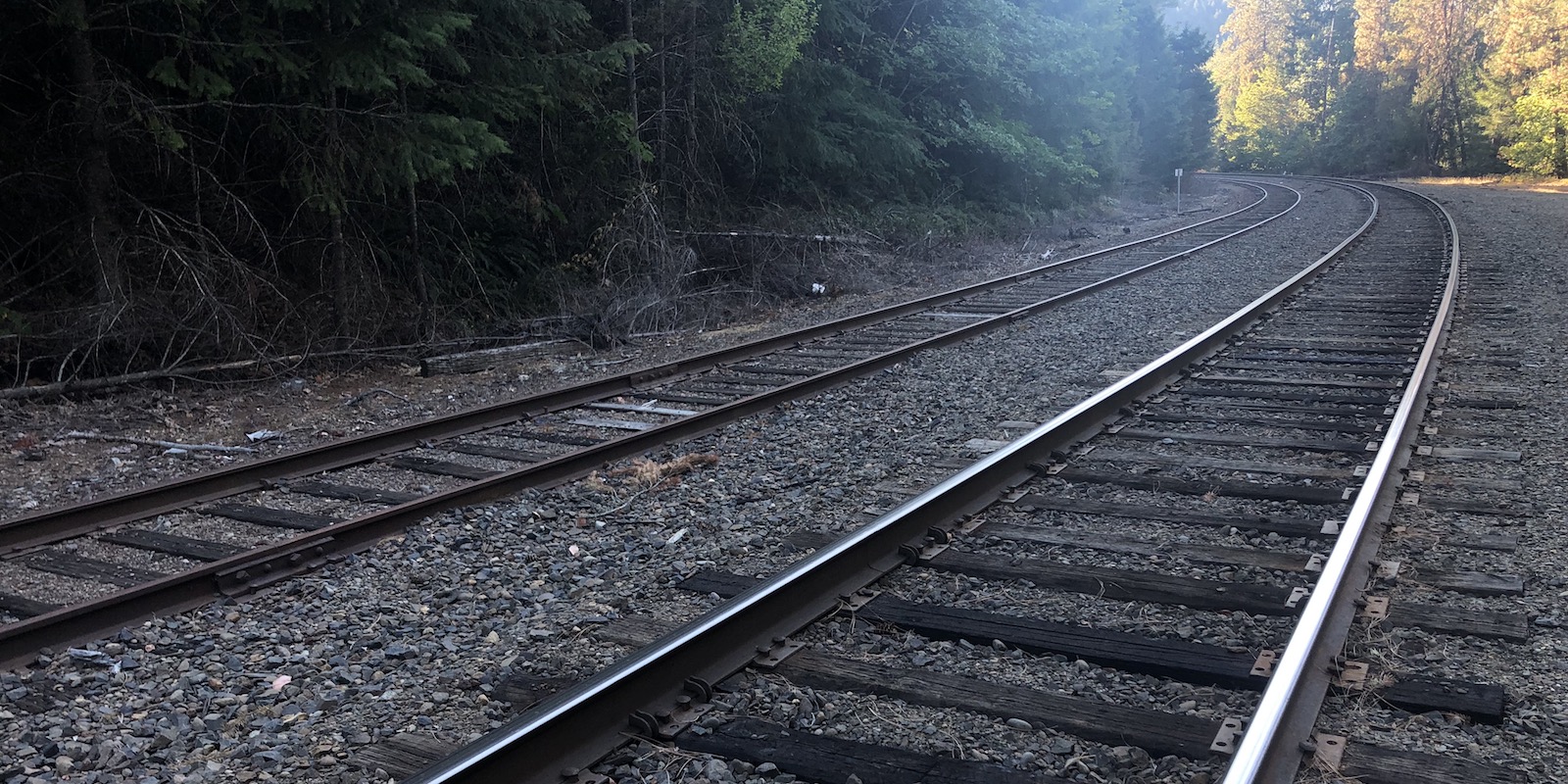 railroad tracks trailing off into the distance, with beautiful tall green trees on either side