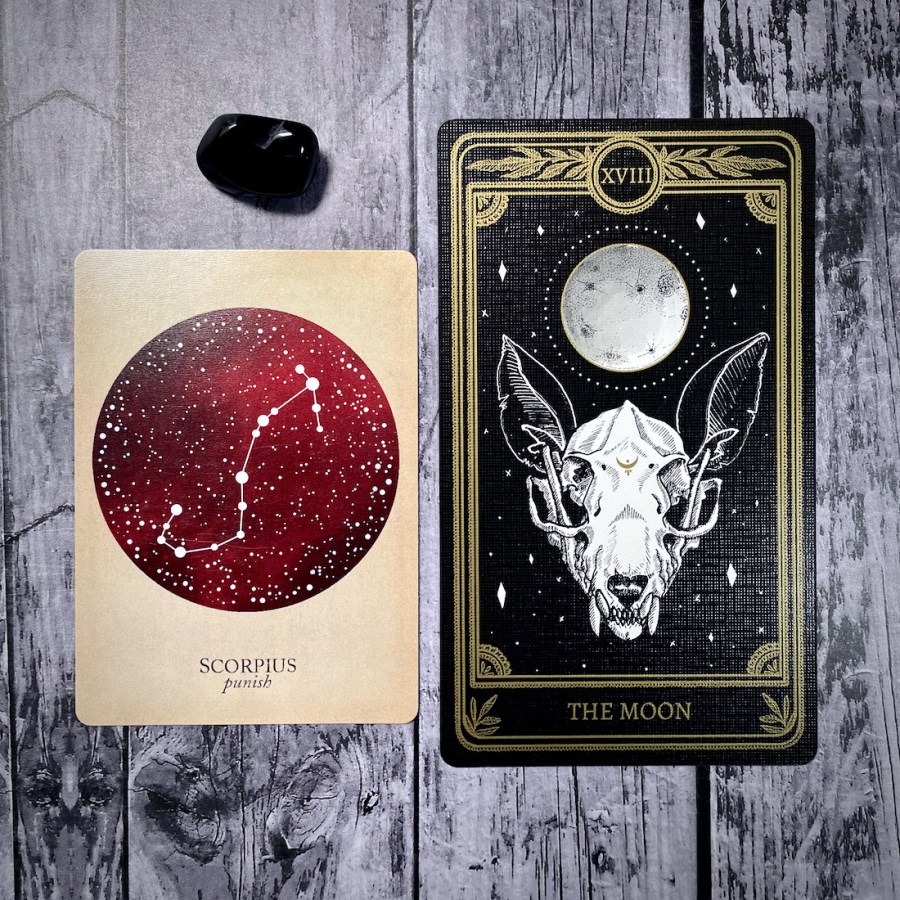 the moon from the marigold tarot