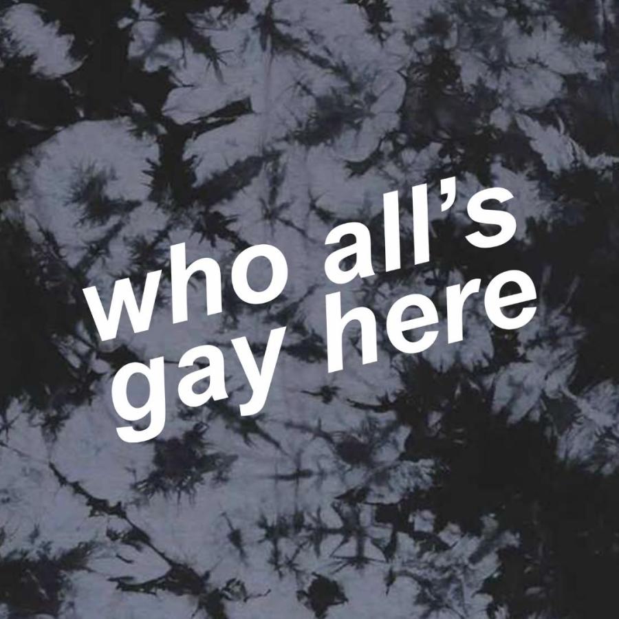 The words "Who All's Gay Here" in angled italic white sans-serif type on a grey and black tie-dyed tee.