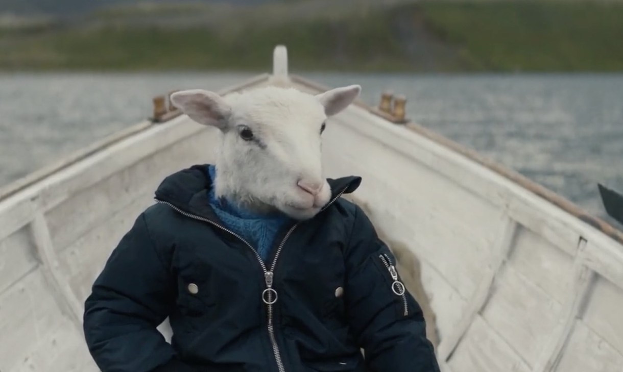 This is an image of a white lamb in a boat. The lamb is wearing a sweater under a jacket. The lamb is sitting upright like a person.