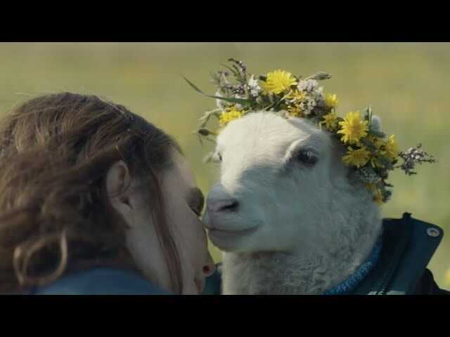 In this image, a white woman leans close into a lamb. The lamb is wearing a jacket and a floral crown.