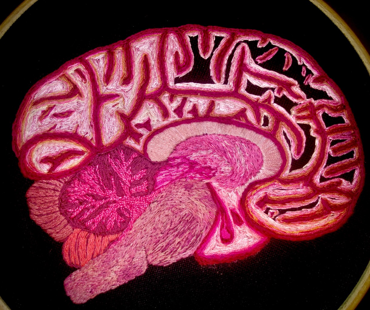 This is a piece of embroidery of a human brain. It is highly detailed and shows all the different lobes.