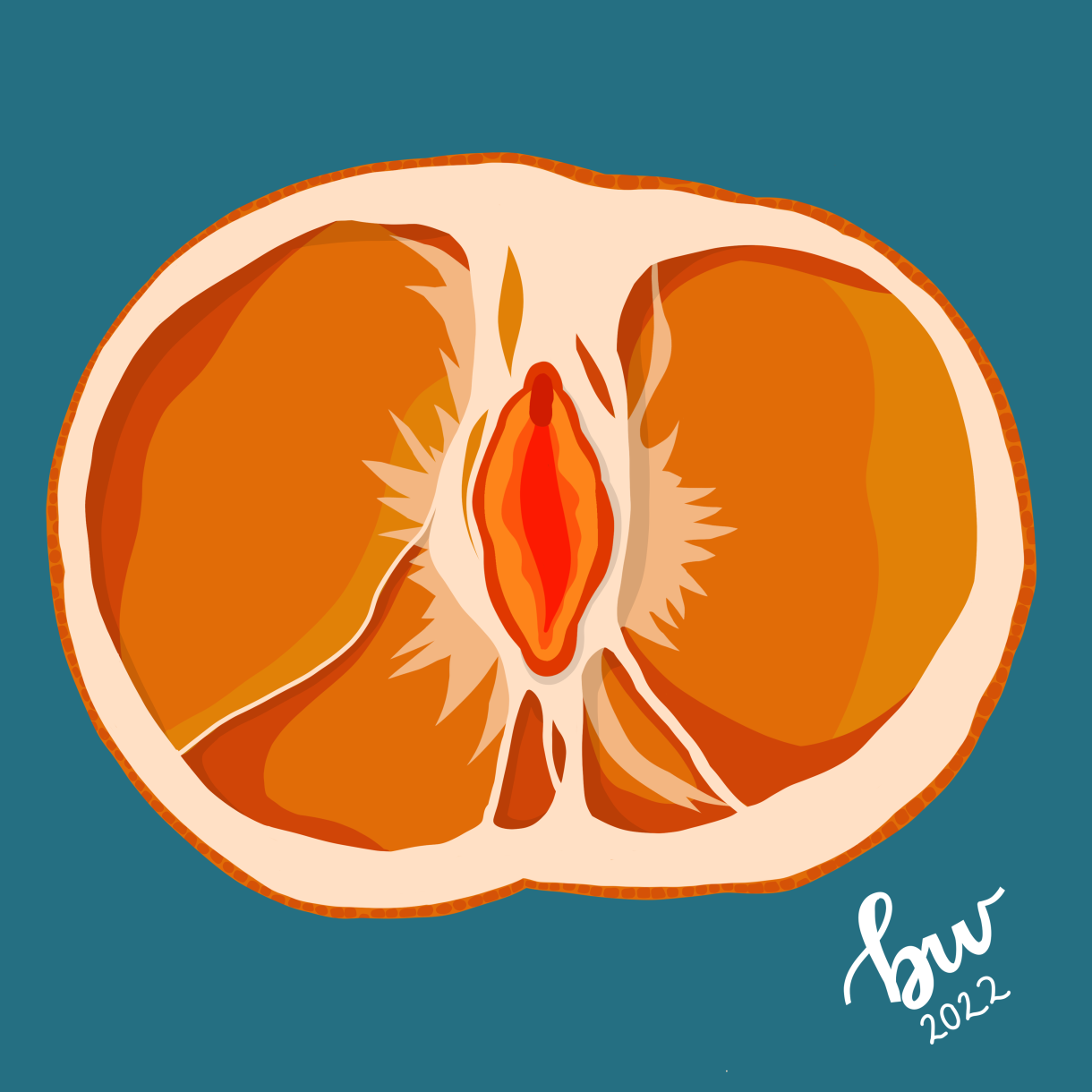 An illustration of a sliced orange where the interior is vulva-like.