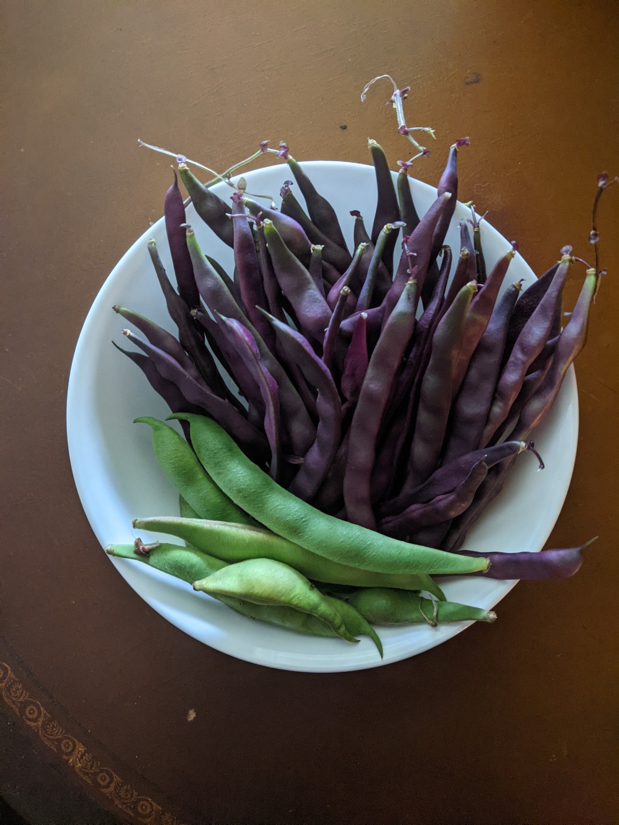 a large bowl of purple and green beans rests on a table. the beans are separated by color.