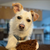 Milo profile image