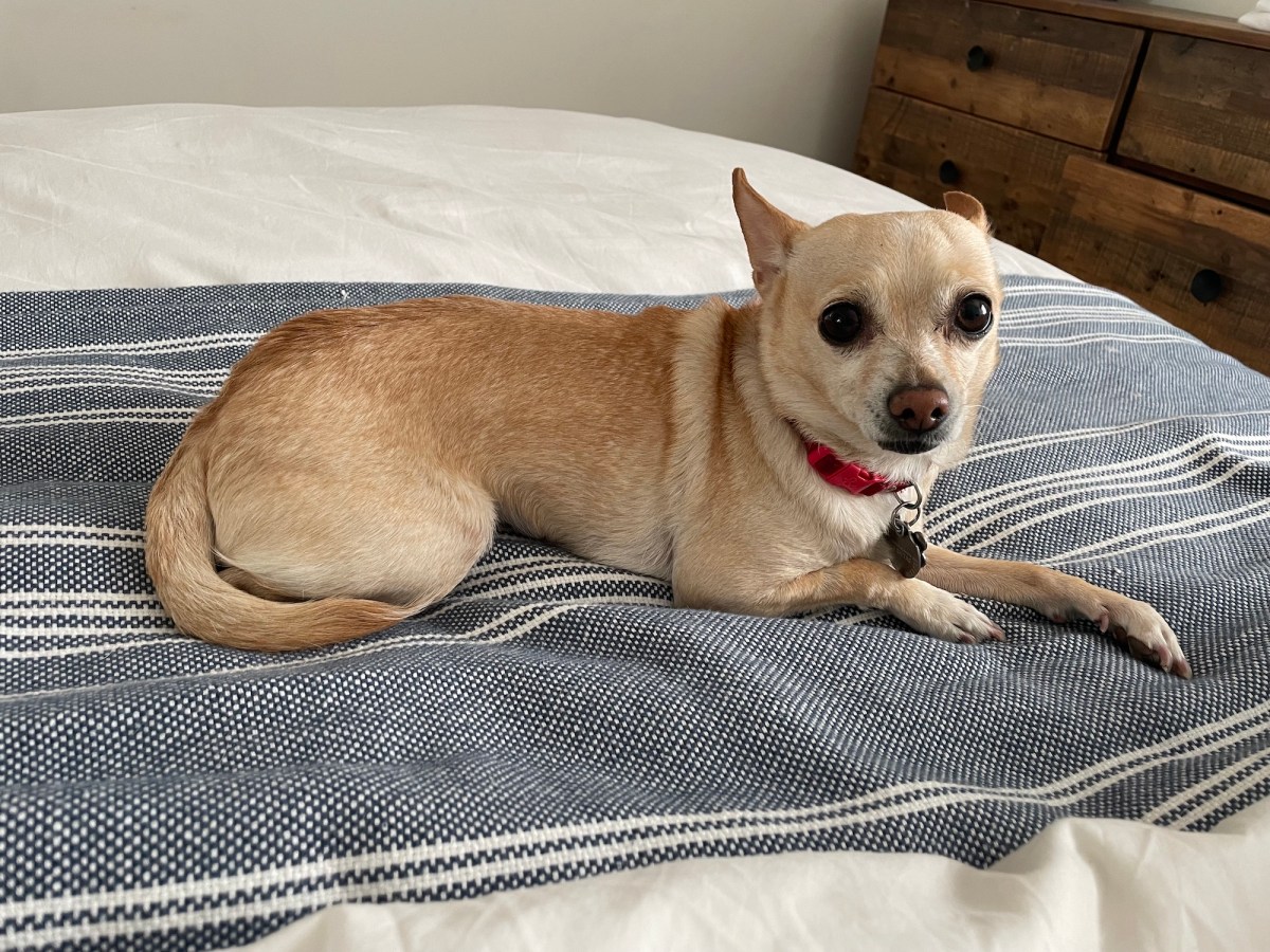 carol resting on the bed like an angel