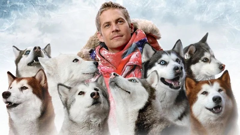 A man and his eight dogs in the arctic