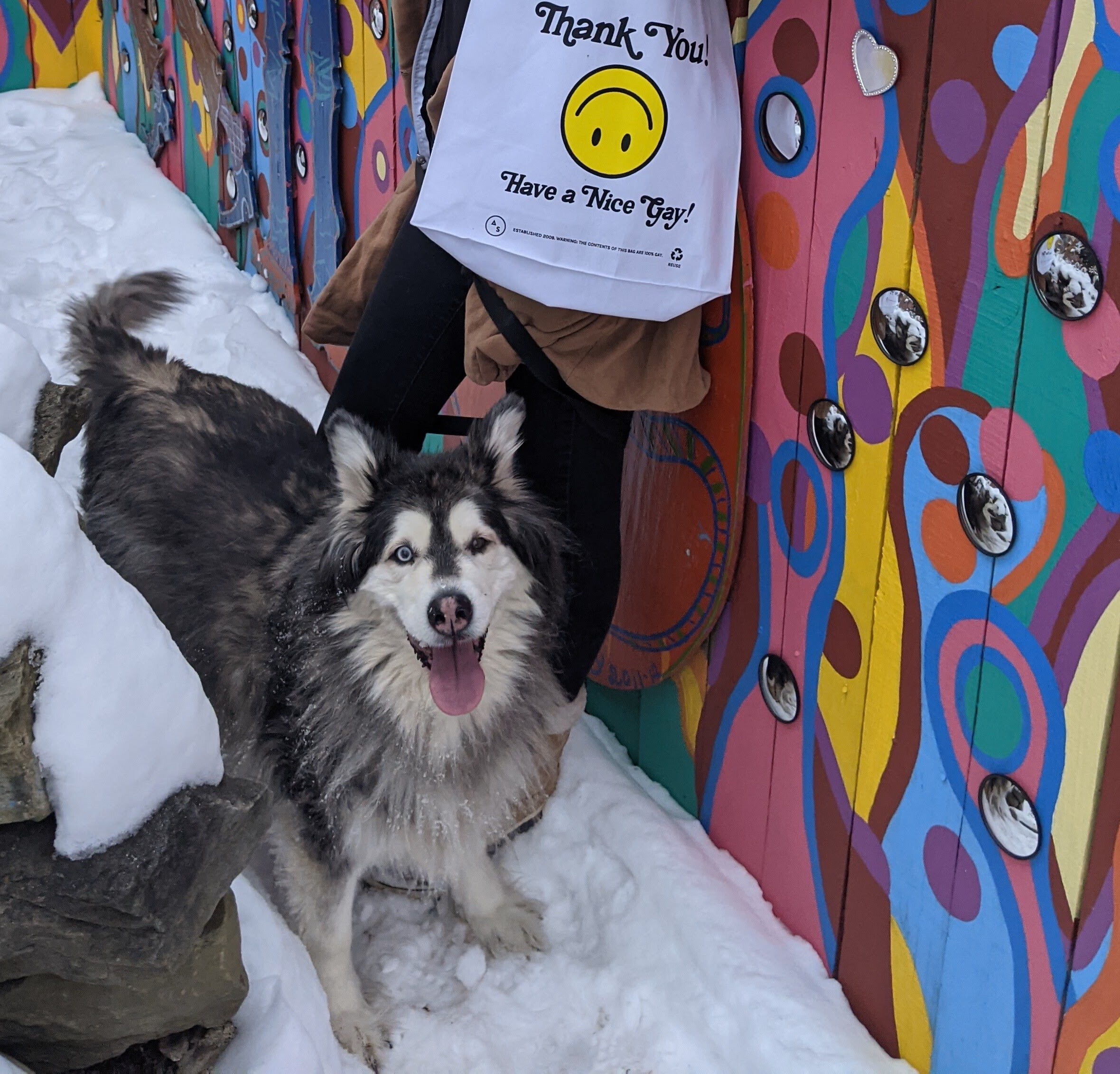 Profile photo of Mya Hall