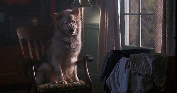 zowie in pet semetary 2 looking creepy