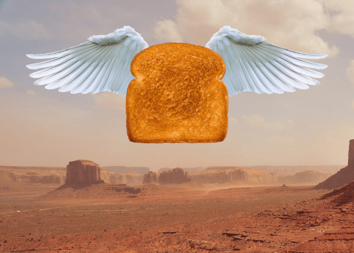 there is an American Southwest desert background with an angel-winged piece of dry toast ascending in the center of this image