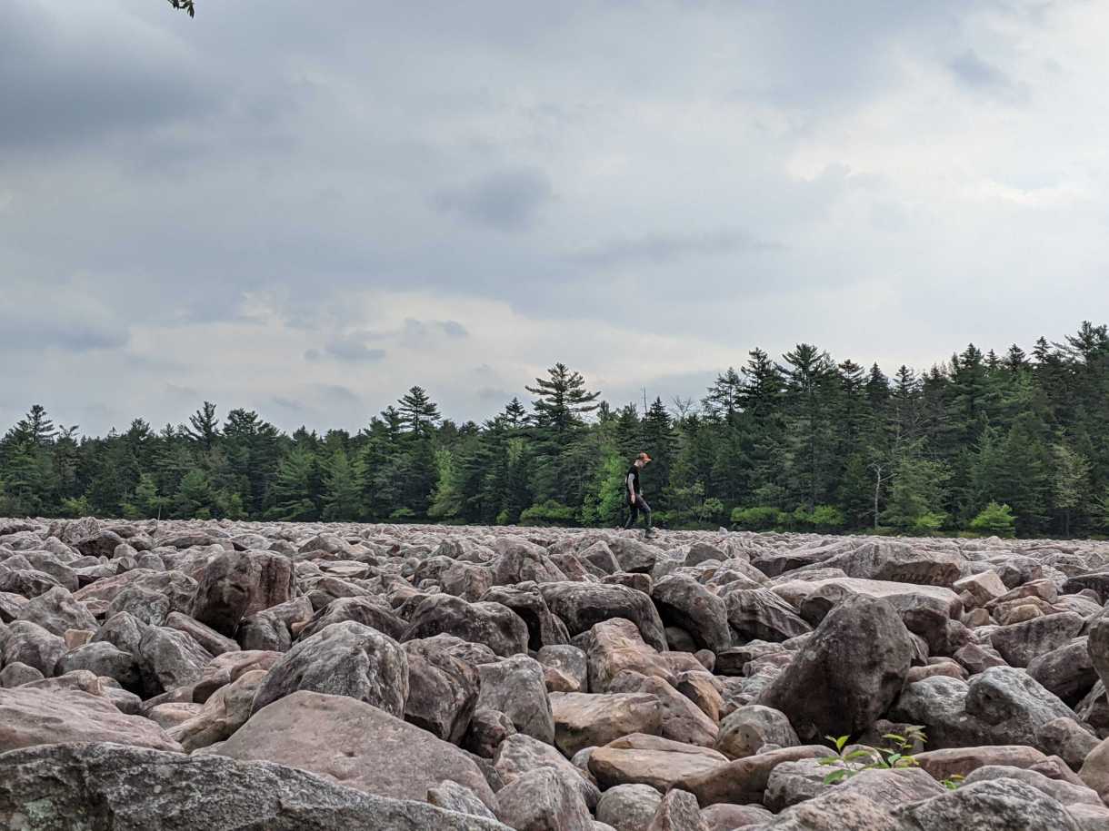 Nicole, a white genderqueer human is wearing a black tee and jeans and a trucker hat, and is out in the center of a field of boulders. A coniferous tree line can be seen in the far background