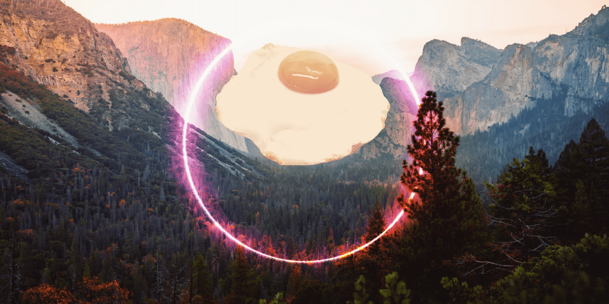 A fried egg hovers ominously, mystically over a forest and mountain terrain, surrounded by a mysterious neon pink circle.