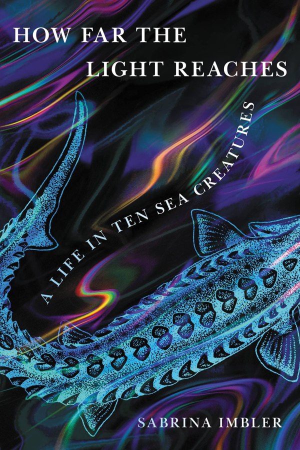 the cover of how far the light reaches shows a fanciful illustration of a fish on it
