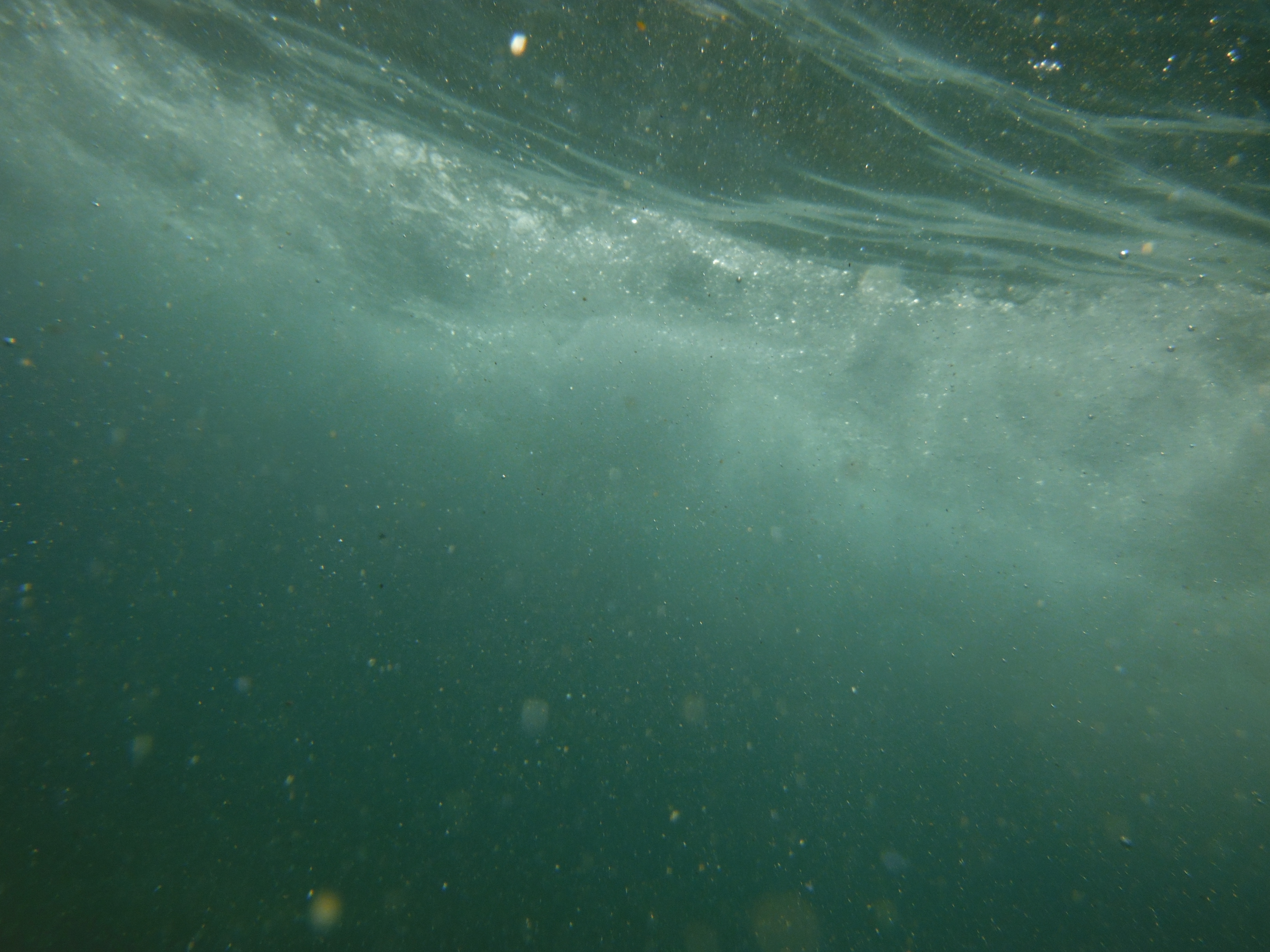 Profile picture of Emily