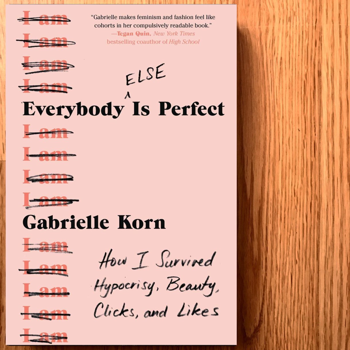 the cover of everybody else is perfect by gabrielle korn