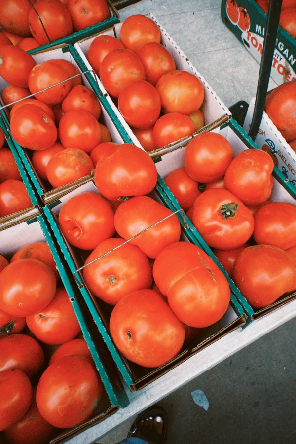 A table full of tomatoes at the farmer's market