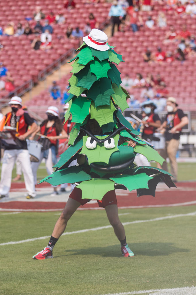 a tree with an angry face, worn by the mascot model, whose legs are sticking out of the bottom