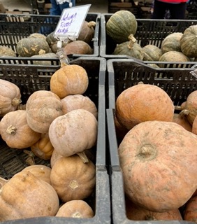 four baskets of winter squash, seen from above